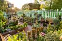 High security as 'world's most poisonous garden' opens at the Horniman