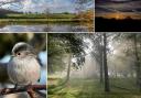 15 of the best photos taken in Mid Cheshire this autumn