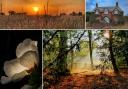 Ten talented photographers shine a spotlight on Mid Cheshire beauty spots