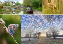 Your favourite photos taken in Mid Cheshire over the past 12 months