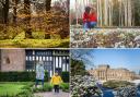 7 gorgeous gardens to visit this winter just 30 minutes from Warrington