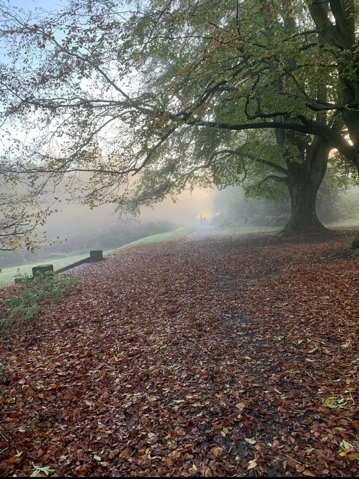 Autumn mist by Chris Moores
