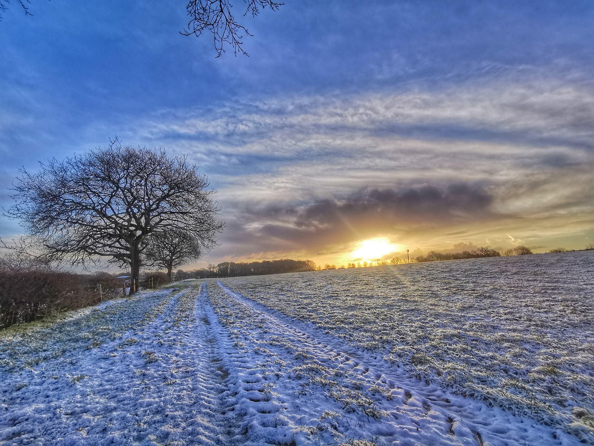 Barnton frost by Patrica Dyson