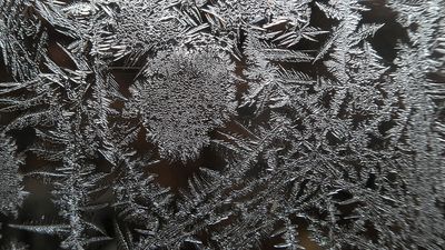 Frosty windows by Lynne Bentley
