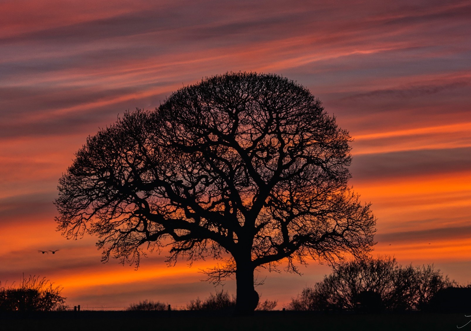 A winters sunset by Alan Bailey