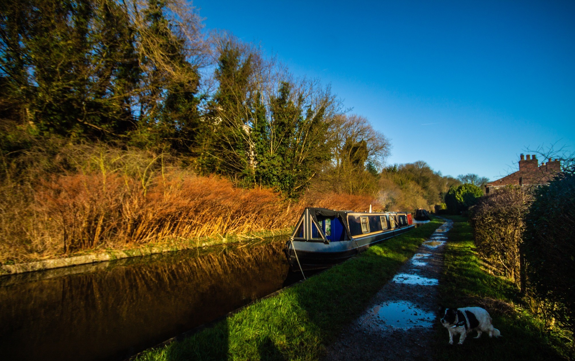Sunshine on the canal by Andrew Gardner