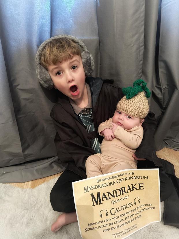 Archie and Harper Holland from Barnton Primary School was a student at Hogwarts and his mandrake