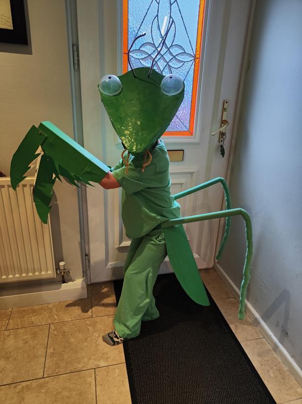 Eli Forshaw from Moulton Primary School was Mantis from Goosebumps A Shocker on Shock Street