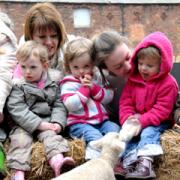 Rose Taylor with daughter Charlotte Taylor-Berg, two, Lois Holland, two, Jenny Bryan and Freya Holland, two, bottle feed a spring lamb at Riverside Organic.