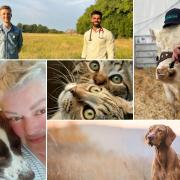Mid Cheshire's Best for Pets 2023: Which of these top ten places will get your vote this week?