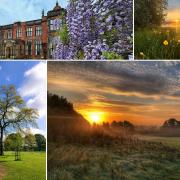 Walks to enjoy this bank holiday weekend in Cheshire