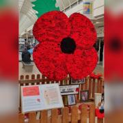 The maginificent Winsford Cross Shopping Centre poppy will be on display for two weeks