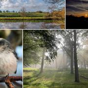 15 of the best photos taken in Mid Cheshire this autumn
