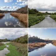 Witton Brook has changed through the seasons