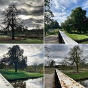 Vale Royal Locks through the seasons