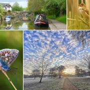 Your favourite photos taken in Mid Cheshire over the past 12 months