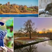 10 of your fabulous photos showcasing the beauty of Mid Cheshire