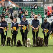 The Woodcockers competed at Crufts 2024