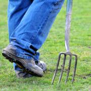 Postponements and pitch inspections