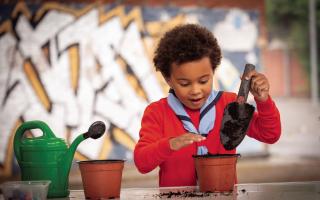 Squirrels is the Scouts' new provision for four to six-year-olds