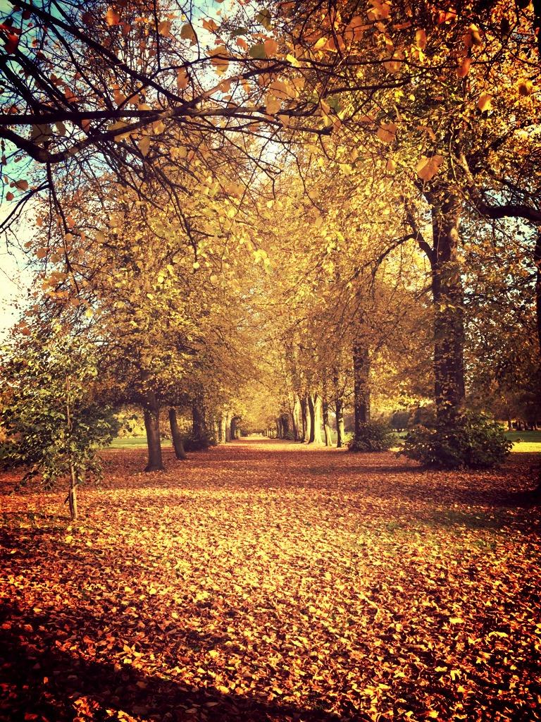 Reader Stuart Brotherton shot this beautiful picture while walking his dogs at Marbury Park in October 2015.
