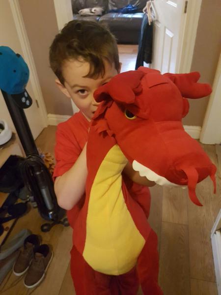 Toby Walker from Winsford as Zog on world book day