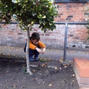 Harley Mulhern scattering seeds in Southway in autumn last year