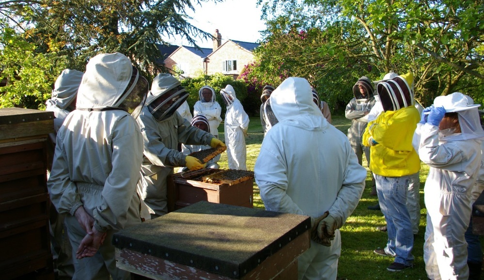 Members of Mid-Cheshire Beekeepers Branch visit each others hives to share tips 