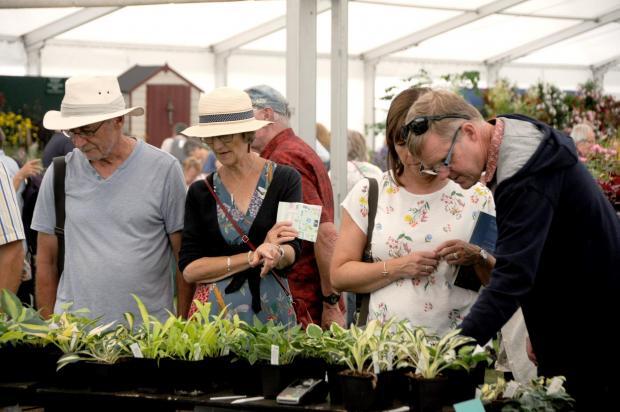 Visitors will once again be able to browse through a paradise of plants