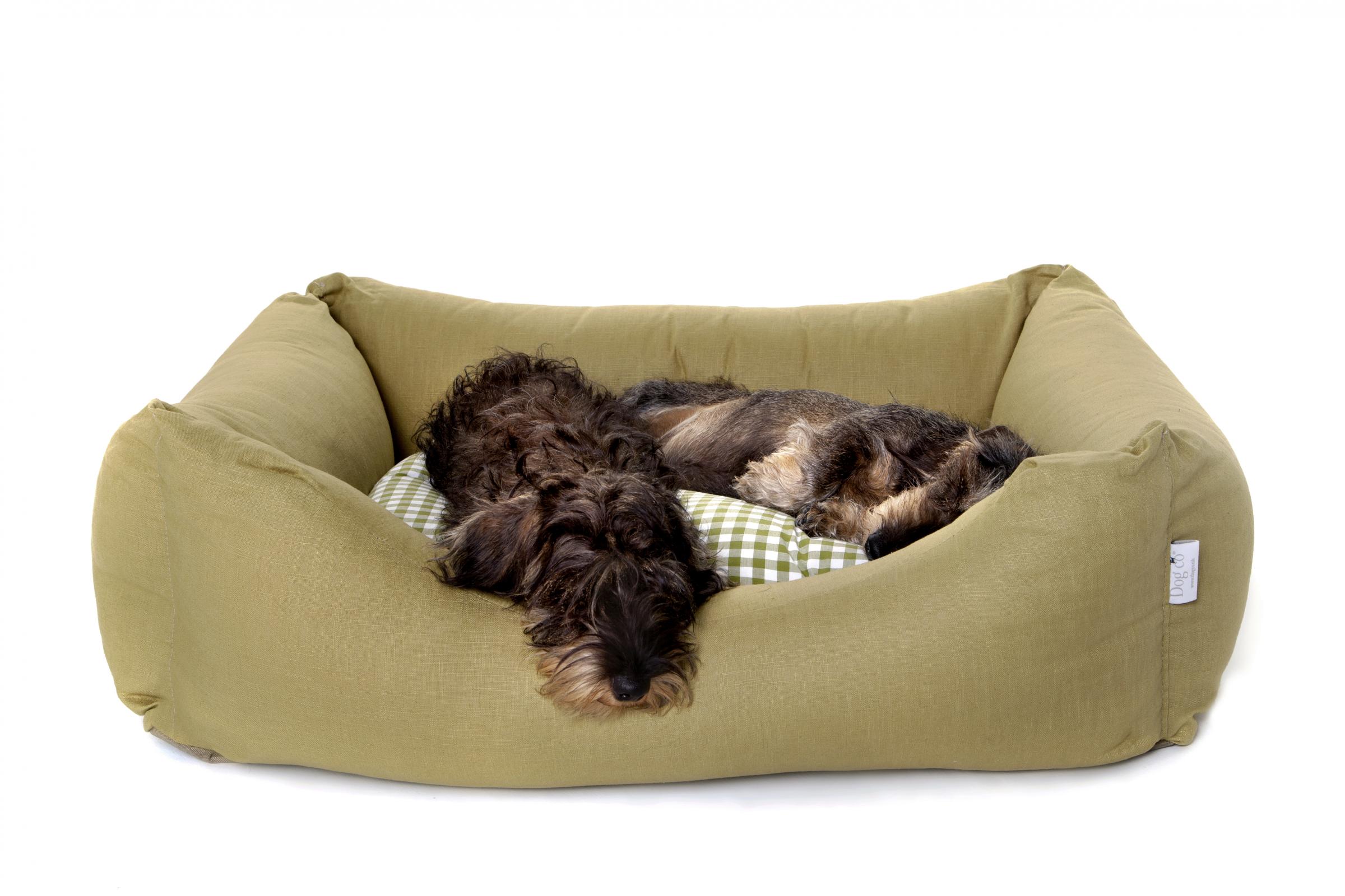 One of the products available from Dog Co.