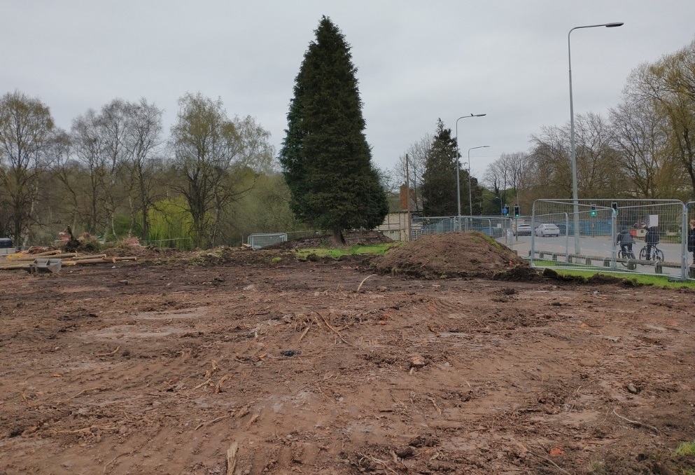Only two mature trees are left at the Greedy Pig site