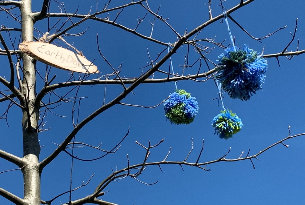 Pom poms were placed in trees in Winsford Town Park to celebrate World Earth
