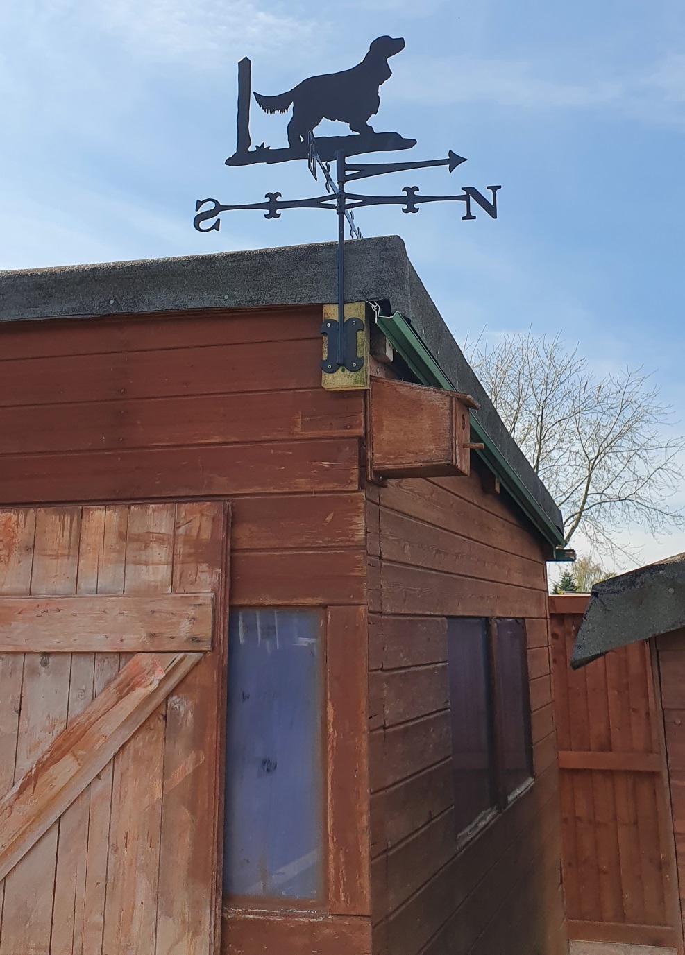 Staff gave Ian a weather vane featuring his beloved cocker spaniel Penny - now taking pride of place on top of his garden shed