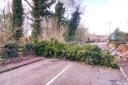 Northwich Police posted this photograph of the fallen tree