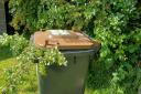 A garden waste bin in Cheshire East