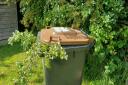 Charges for garden waste collection will start in January