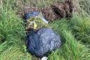 Dumped garden waste found in Weaverham on Wednesday