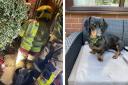 It took the fire crew 25 minutes to rescue three-year-old Millie, who was struggling to breathe