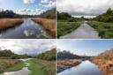 Witton Brook has changed through the seasons