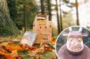 The new Gruffalo party trail has launched at Delamere Forest this month