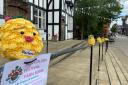 Pineapple toppers placed around Northwich ahead of the Piña Colada Festival have been vandalised