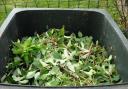 Garden waste bin collections to restart in west Cheshire