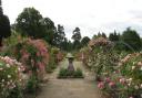 Cholmondeley Castle stately gardens are included in this year's programme