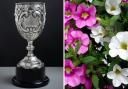 The Coronation Cup (left) will be awarded to the winner of a hanging basket competition