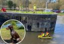 Emergency service teams rescued Lexi, inset, from Vale Royal Locks