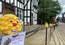 Pineapple toppers placed around Northwich ahead of the Piña Colada Festival have been vandalised