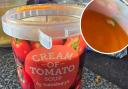 A maggot was found floating in a pot of Sainsbury's tomato soup