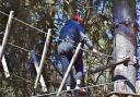 Go Ape Delamere has been forced to close due to an impending storm (stock image)