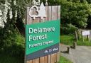 Firefighters were called to Delamere Forest over the weekend