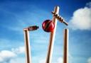 Oakmere Cricket Club match reports